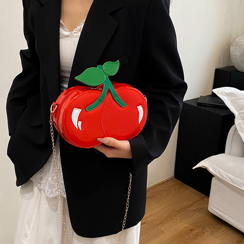 여성을위한 우아한 미니 크로스 바디 백 럭셔리 숄더 섬 - Luxury Bags Names 리뷰 및 가격